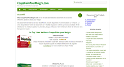 Desktop Screenshot of coupefaimpourmaigrir.com